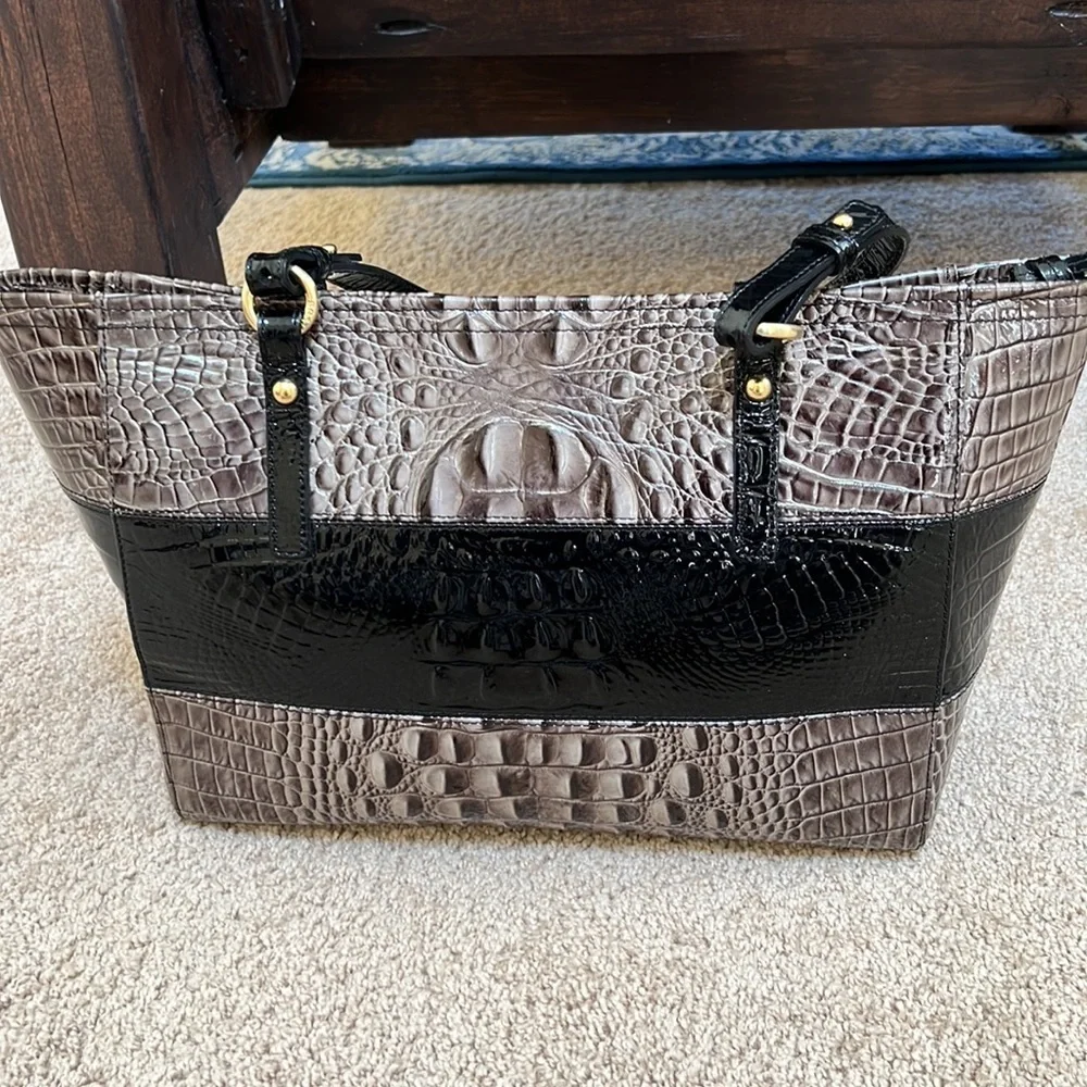 Brahmin melbourne asher